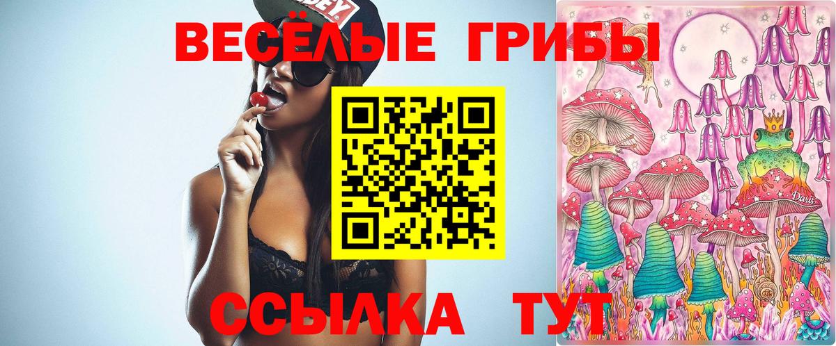 Галлюциногенные грибы Psilocybe Киреевск
