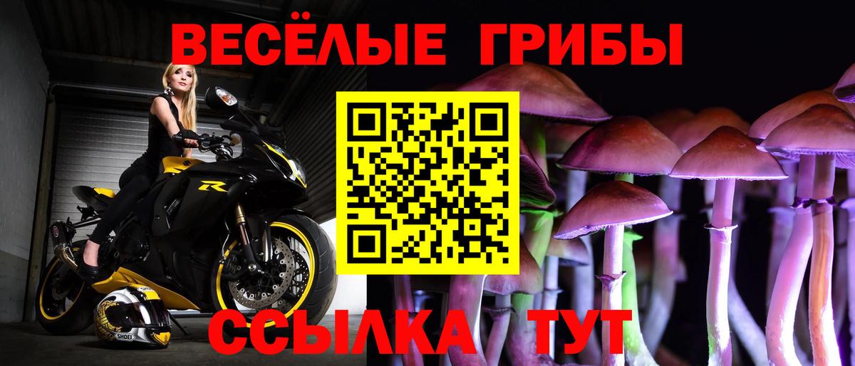где найти наркотики  Псилоцибиновые грибы Psilocybine cubensis  Вход с VPN  Киреевск 